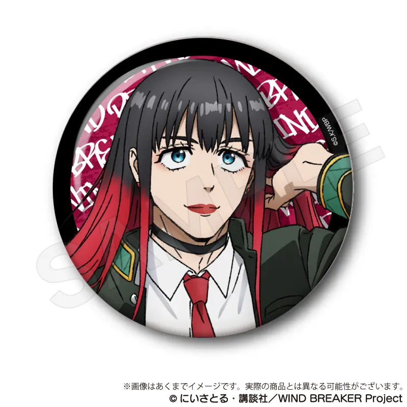 予約2025年04月】WIND BREAKER ちょいデカ缶バッジvol.2 椿野佑 Y Line