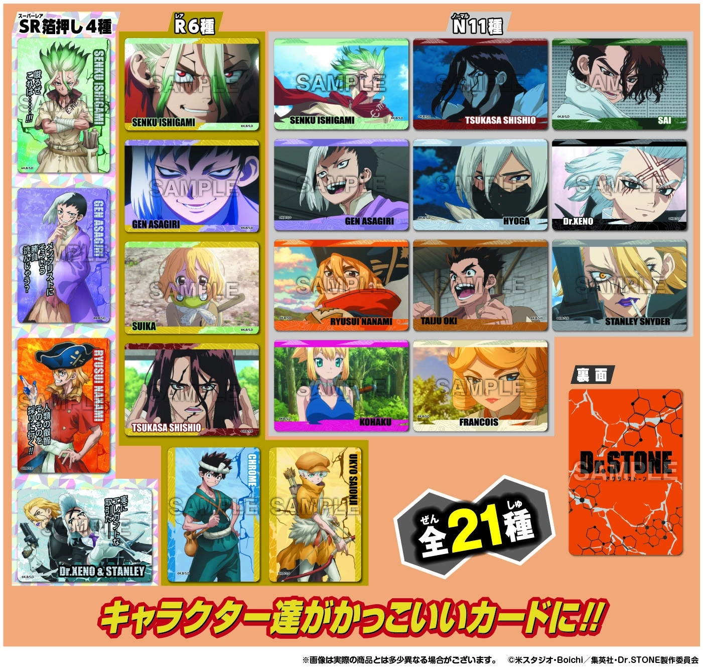 予約2026年07月】Dr.STONE コレクターズカード 20パック入りBOX