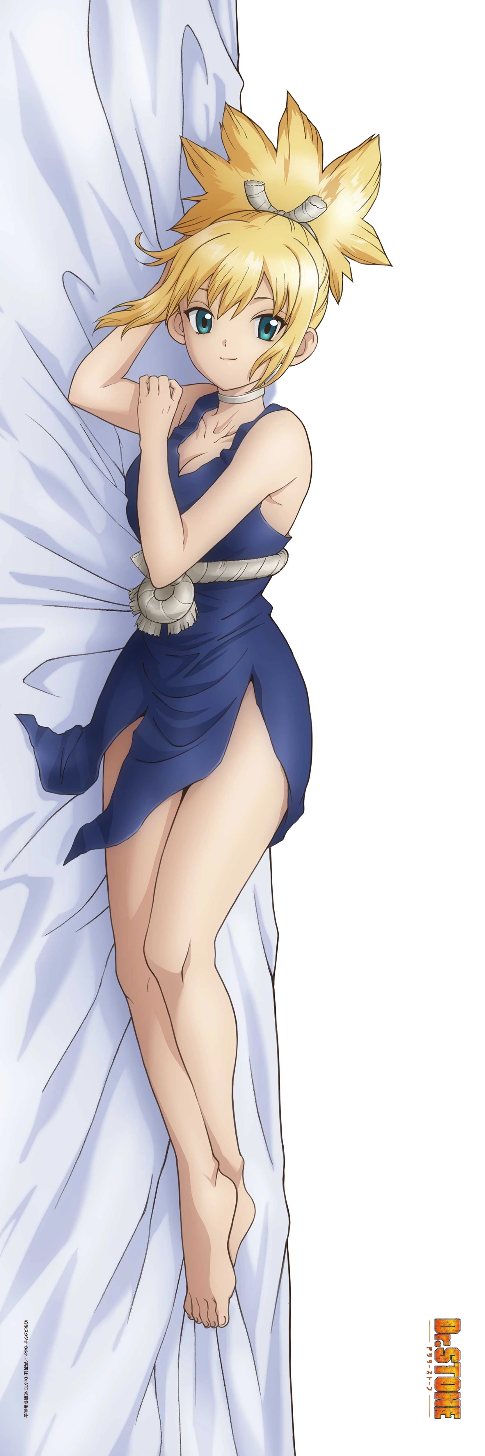 予約2025年09月】Dr.STONE 【描き下ろし】プレミアム抱き枕カバー