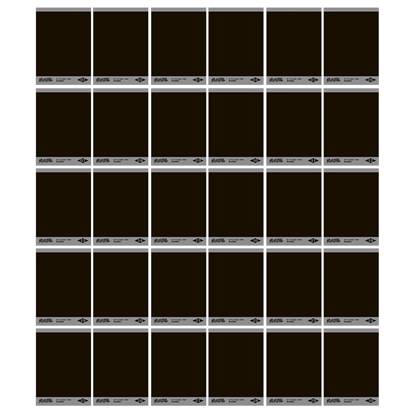 予約2025年09月】桃源暗鬼 ぱしゃこれ 10パック入りBOX ムービック