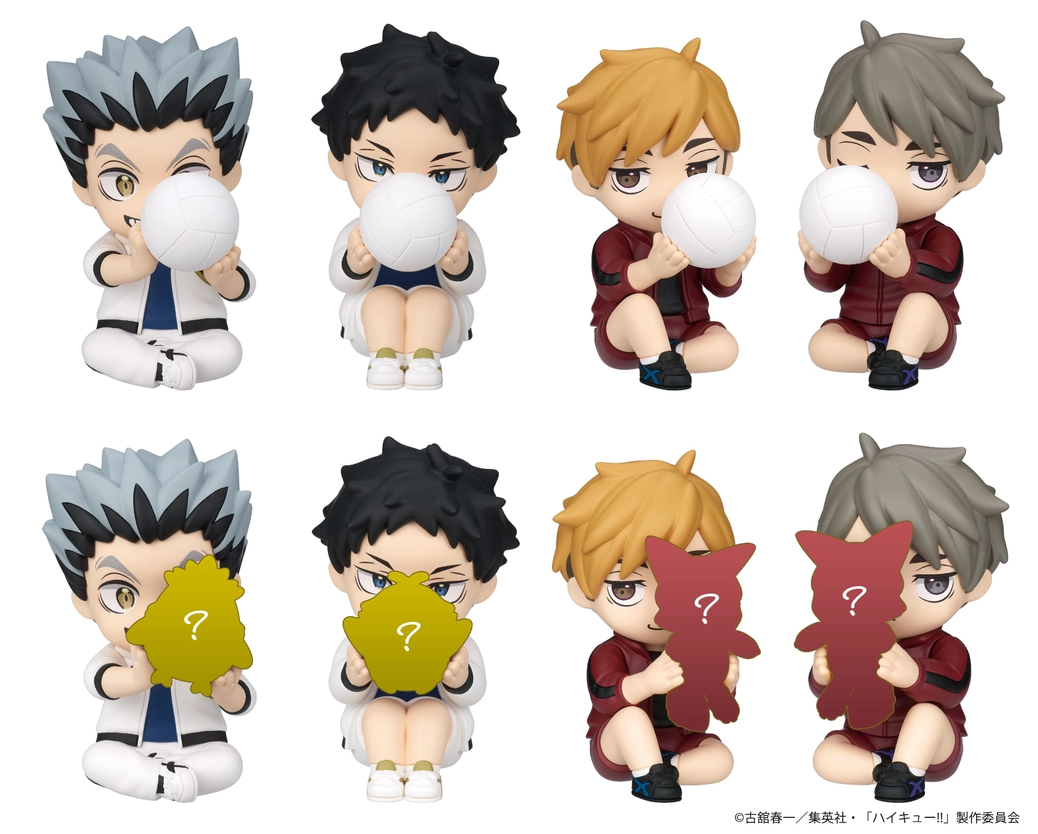 予約2026年03月】PERIHAPI！ Hide ＆ Seek かくれんぼ ハイキュー