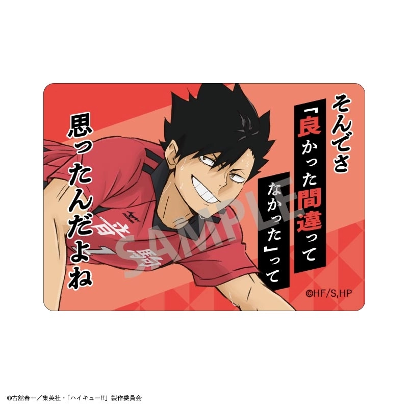 予約2025年11月】ハイキュー！！ Picharm 10パック入りセット カミオ