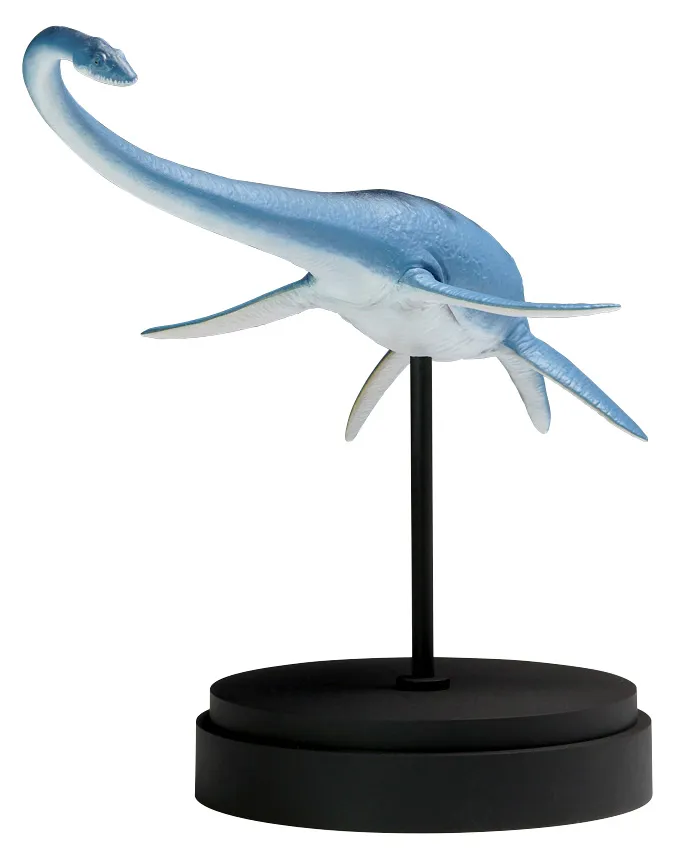 予約2023年2月】フタバスズキリュウ WAVE | フィギュア・ホビー