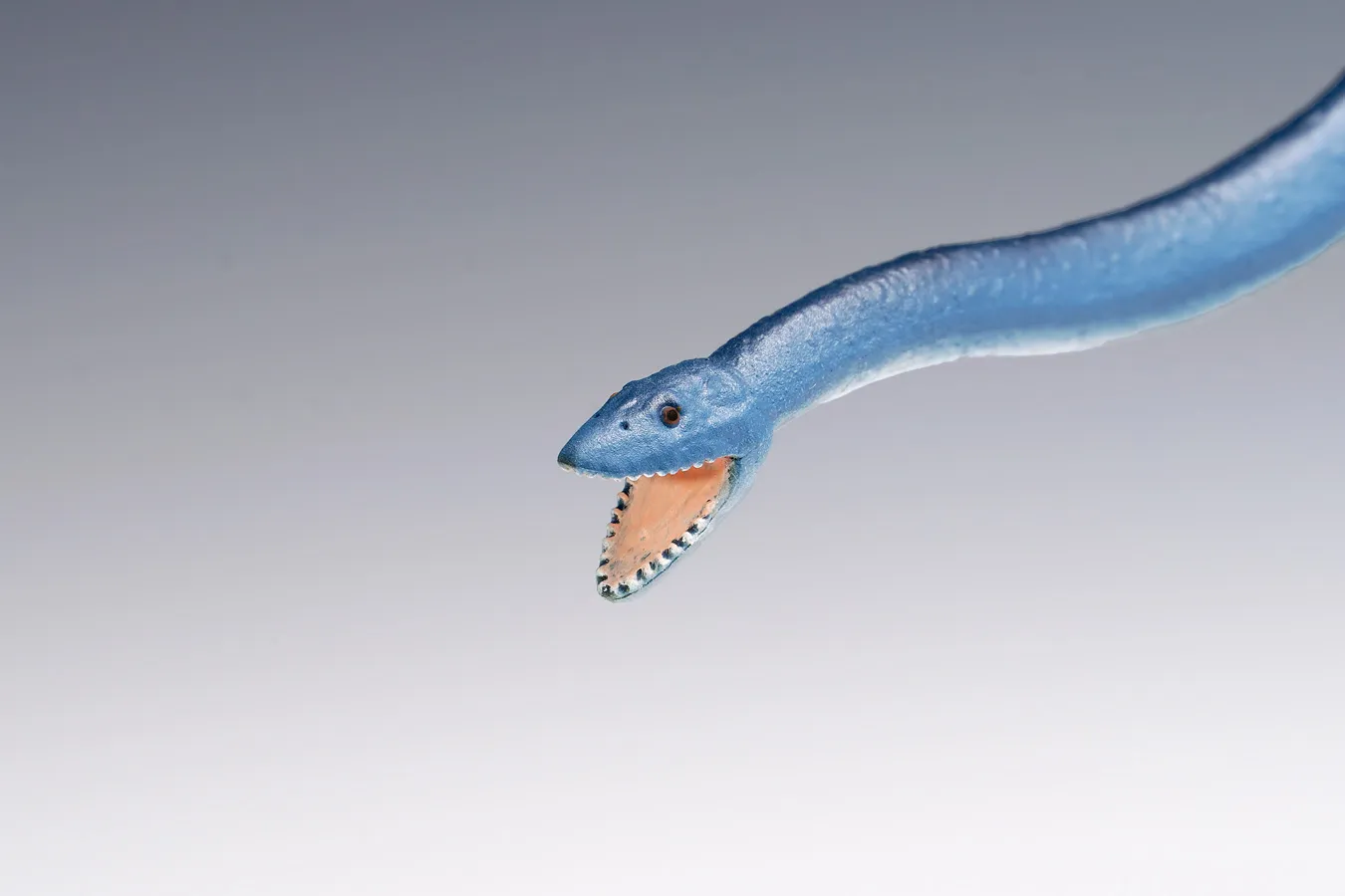 予約2023年2月】フタバスズキリュウ WAVE | フィギュア・ホビー