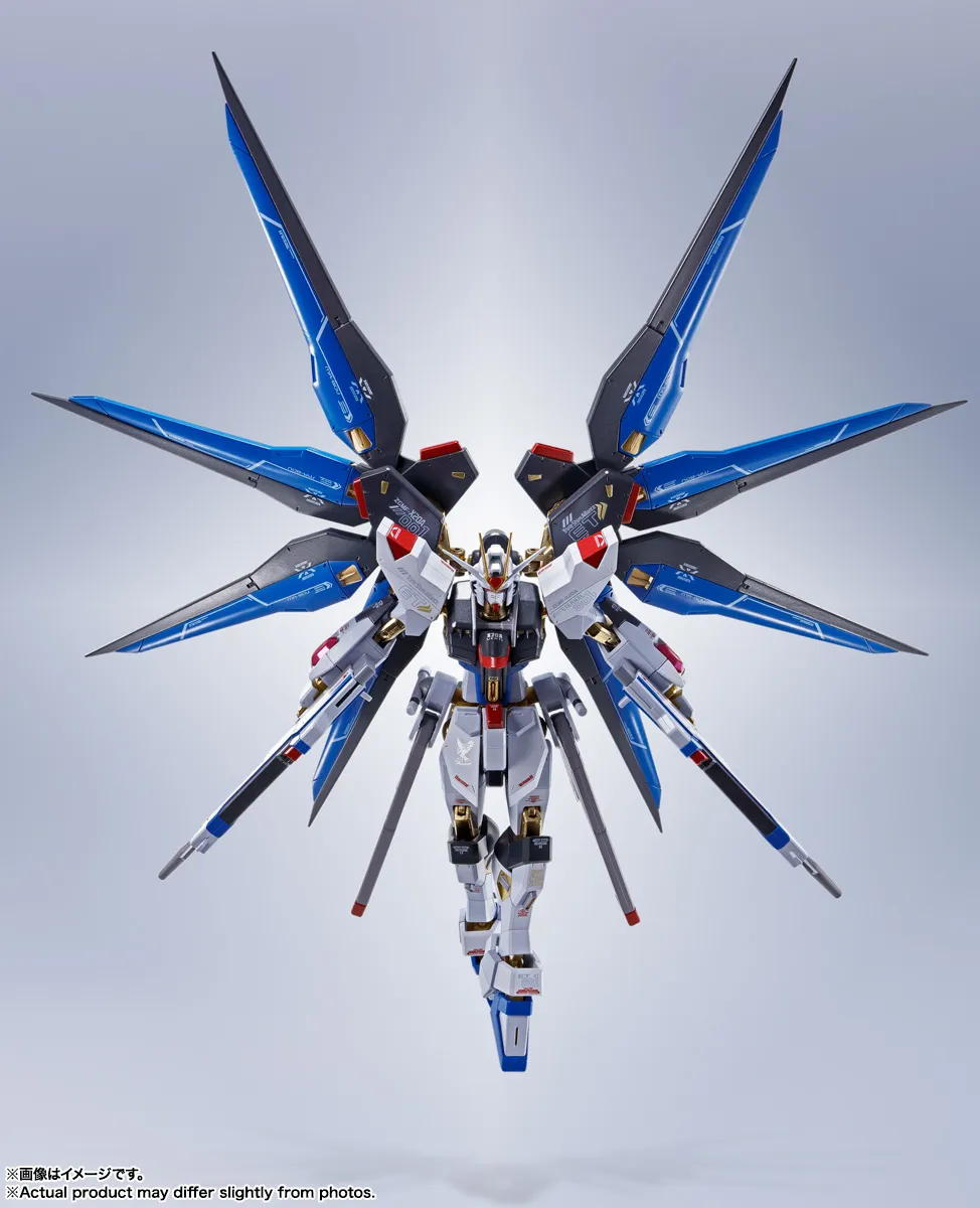 BANDAI NAMCO Entertainment - ストライクフリーダムガンダム　[Re:Coordinate] バンダイスピリッツ METAL ROBOT魂 ＜SIDE MS＞ ストライクフリーダムガンダム [Re