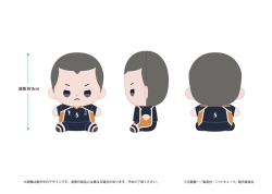 【ポイント10倍】ハイキュー！！ もっちび ぬいぐるみ 田中龍之介 【東宝】