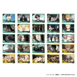 【予約2025年05月】WIND BREAKER トレーディングぺパこれ 10パック入りBOX PROOF