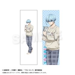 【予約2026年05月】ブルーロック ロングクッションカバー 猫と戯れver. 氷織 羊 Y Line