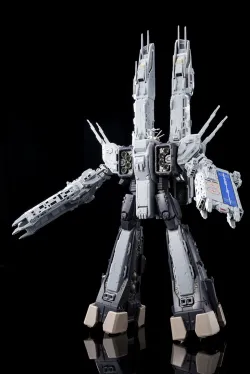超時空要塞マクロス cm3dmju Bandai 1/100 Macross 超時空要塞F 早乙女有人YF-29 杜蘭朵女