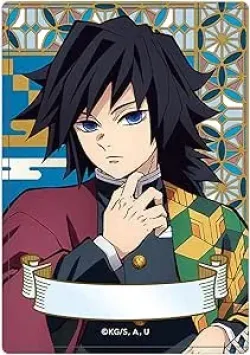 鬼滅の刃 硬質カードケース 冨岡 義勇 ムービック【送料込み】