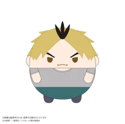 ハイキュー!! ふわコロりんMsize9 E黄金川 貫至 マックスリミテッド