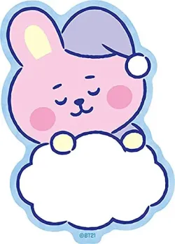 BT21 トラベルステッカー ドリーム オブ ベイビー (7)COOKY