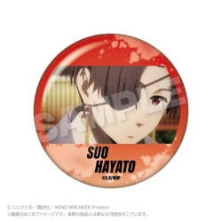 【予約2026年02月】WIND BREAKER メモリーズちょびでか缶バッジ 蘇枋 隼飛 ステラノーツ