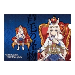 アニメ『ウマ娘 シンデレラグレイ』 箔入りA4クリアファイル[1]オグリキャップ CHAMPIONS  【エンスカイ】